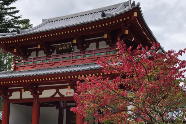 蓼科山聖光寺 紅葉